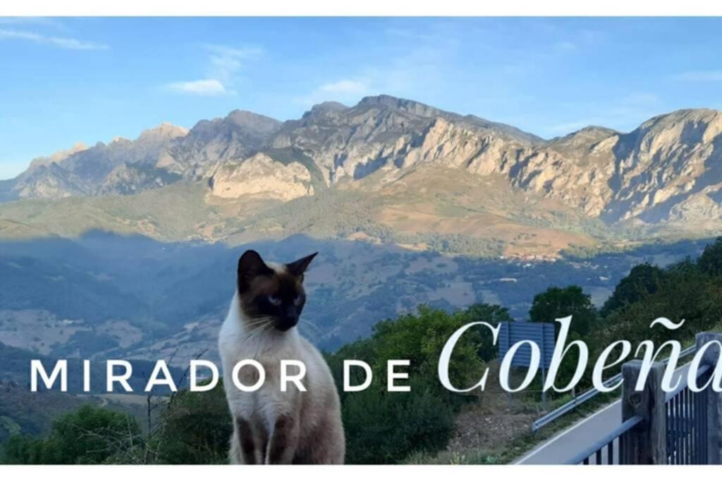 El Mirador De Cobena Ii. Aires De Liebana En Picosアパートメント エクステリア 写真